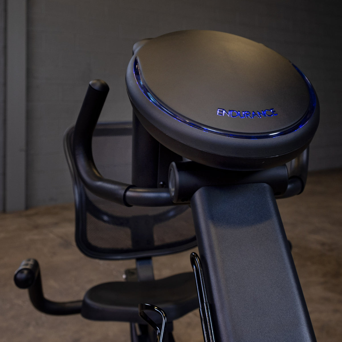 Body-Solid Endurance Recumbent Bike