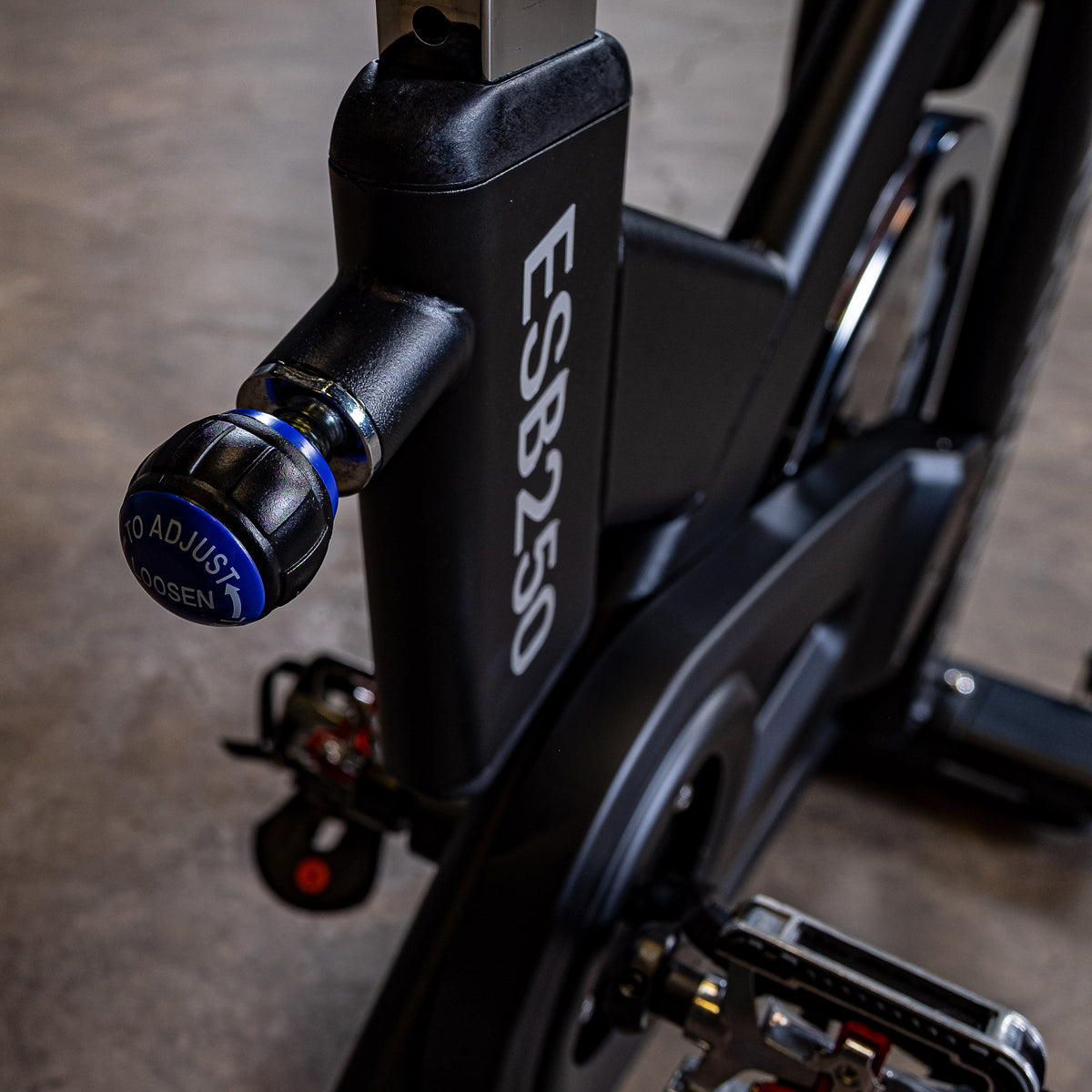 Body Solid Endurance Indoor Training Cycle