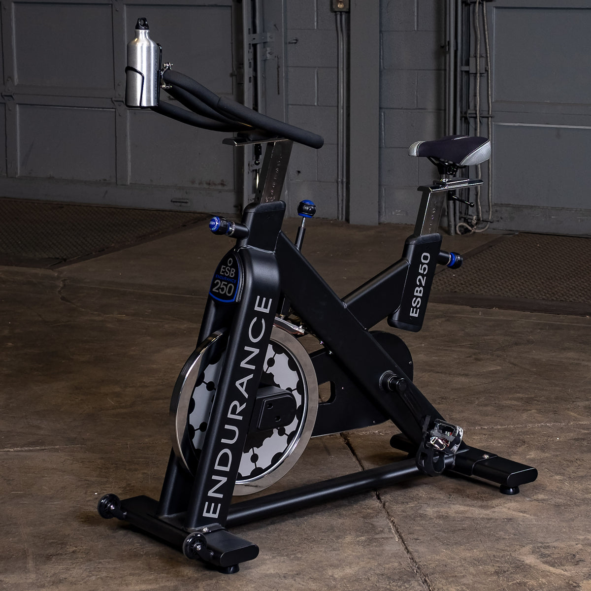 Body Solid Endurance Indoor Training Cycle