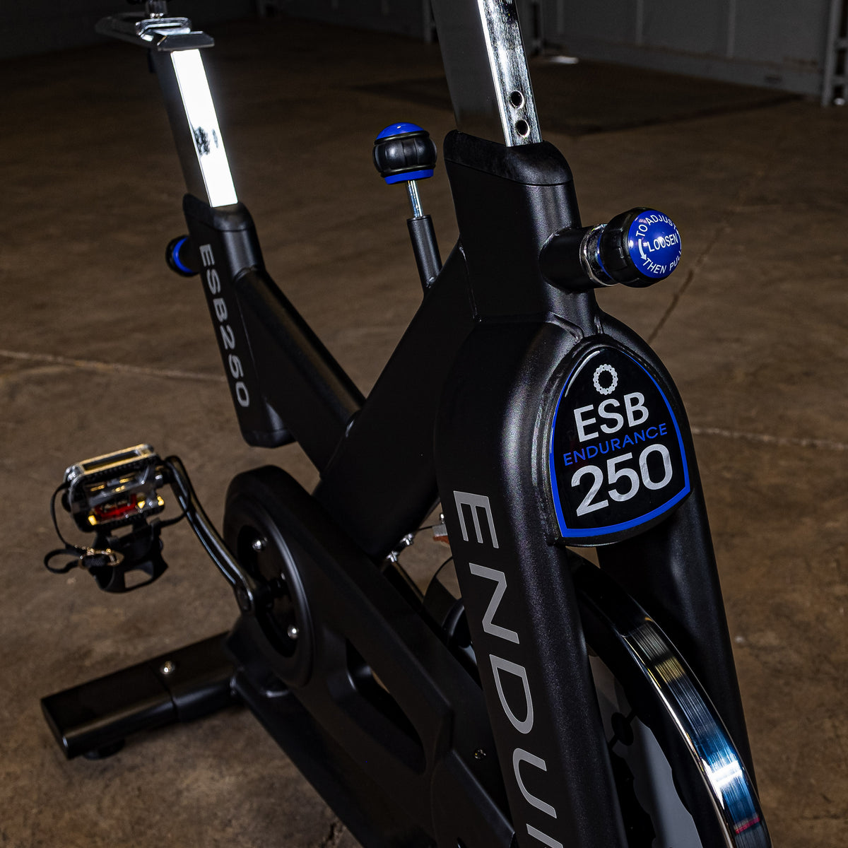 Body Solid Endurance Indoor Training Cycle