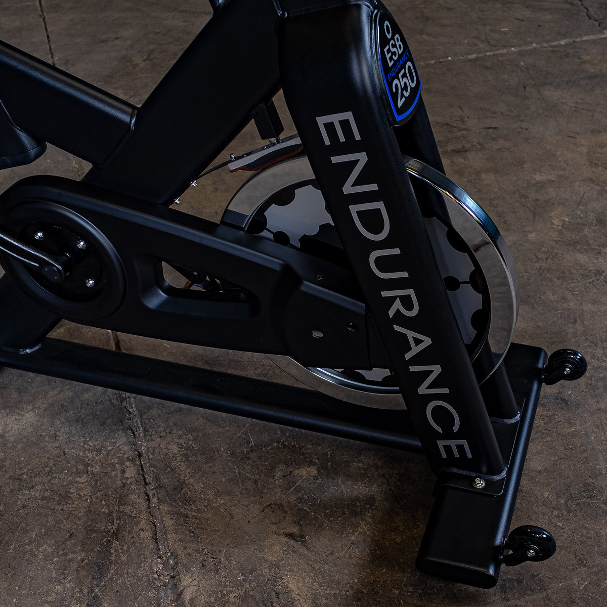 Body Solid Endurance Indoor Training Cycle
