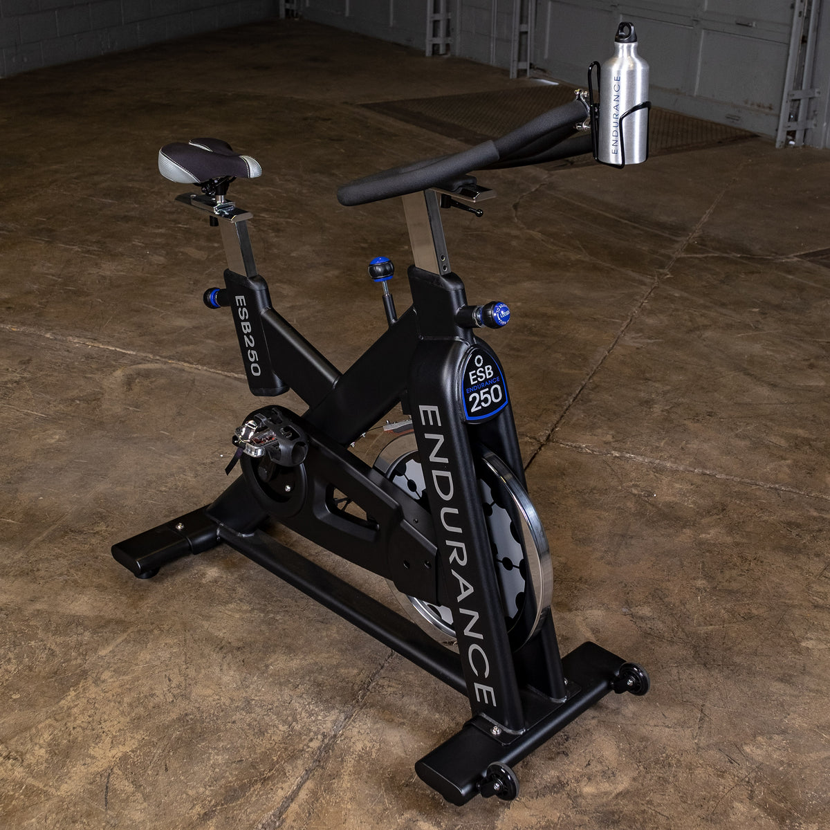 Body Solid Endurance Indoor Training Cycle