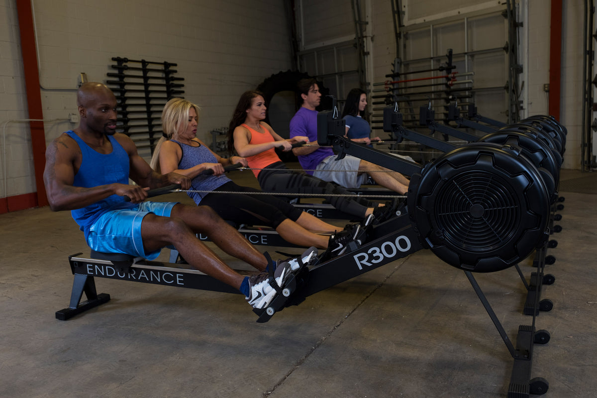 Body-Solid Endurance Indoor Rower